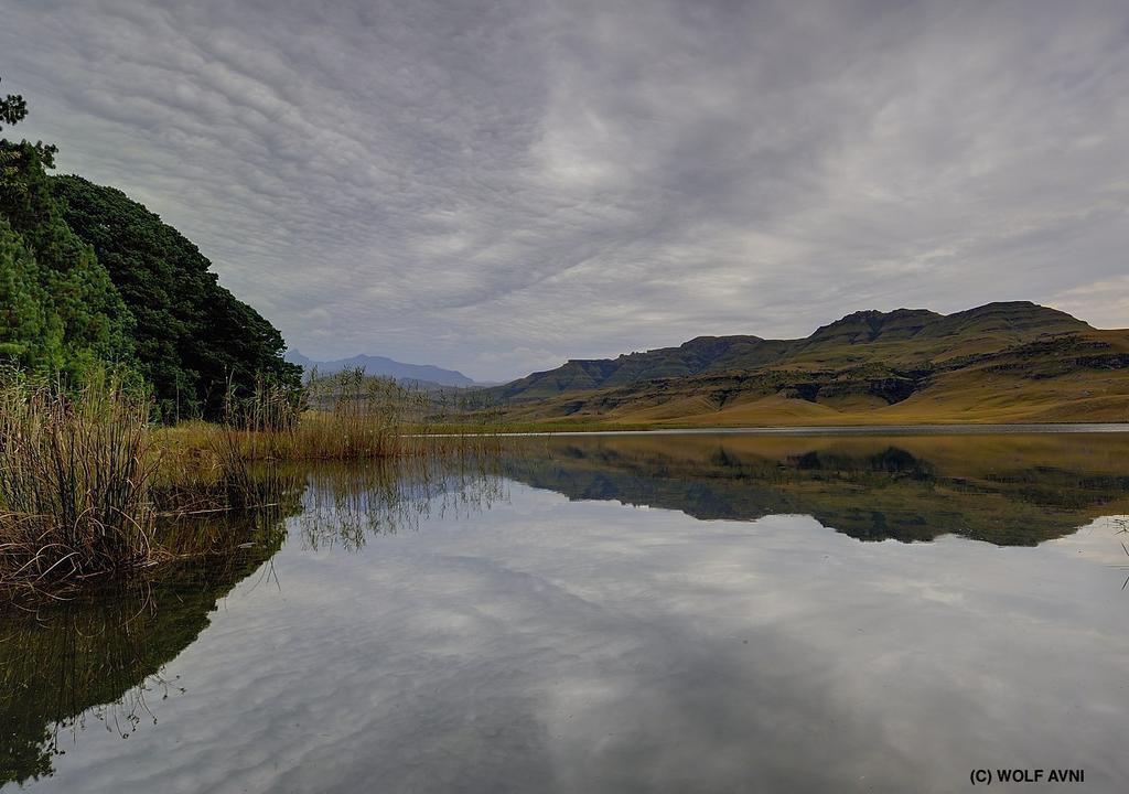 Giantscup Wilderness Reserve Underberg Eksteriør bilde